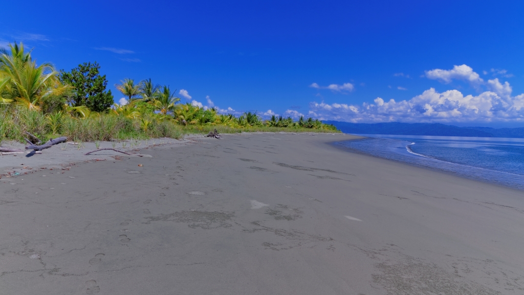 10 - Puerto Jimenez (7).jpg